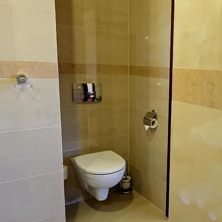 Hotel Dwor Stary Chotow Kalisz