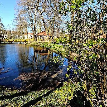 Готель Dwor Stary Chotow Каліш