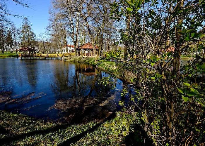 Dwor Stary Chotow Hotel